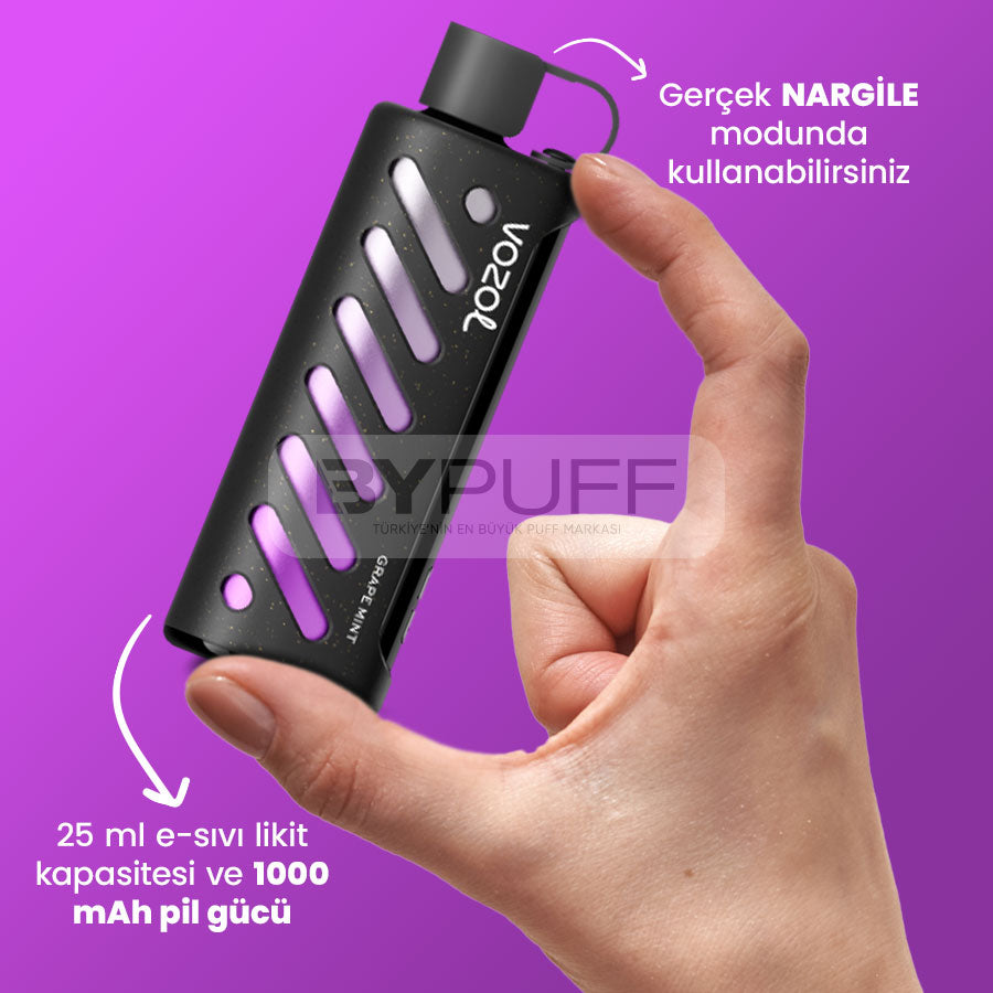 Vozol Gear Shisha 25000 Grape Mint